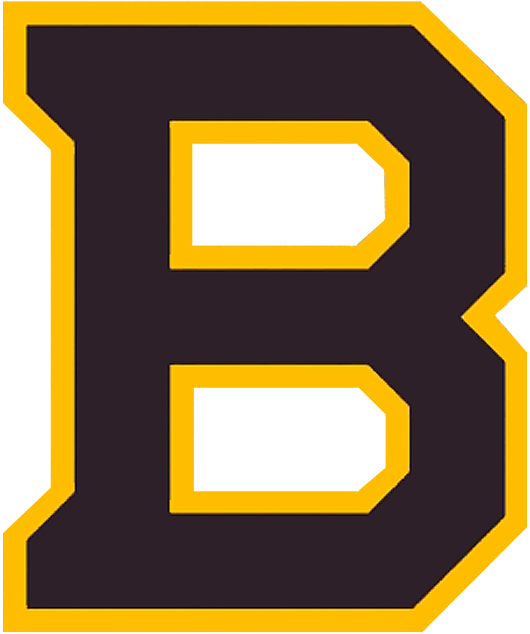 Boston Bruins 2019 Special Event Logo fabric transfer
